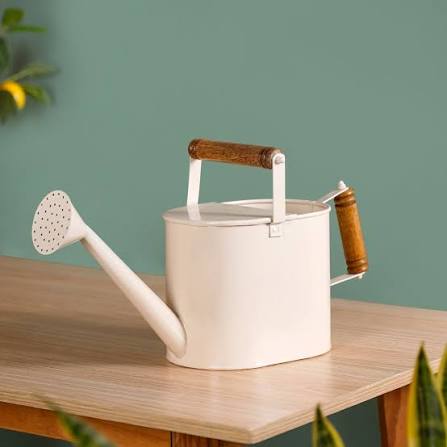 Vintage Copper Watering Can