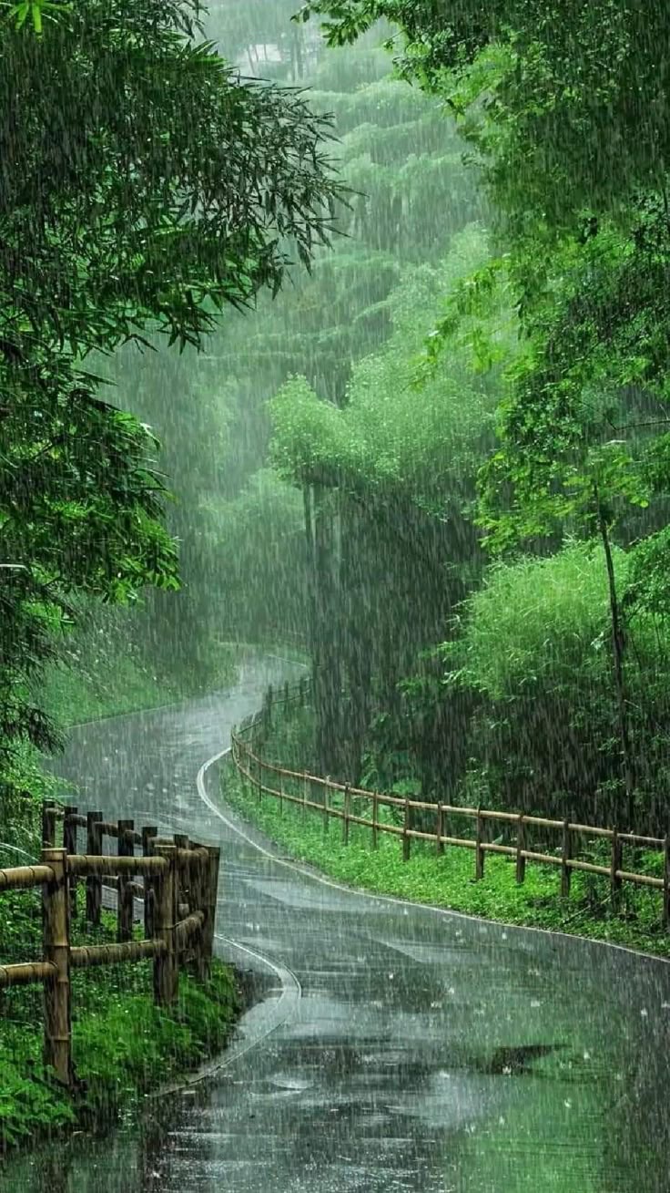 Monsoon Photography