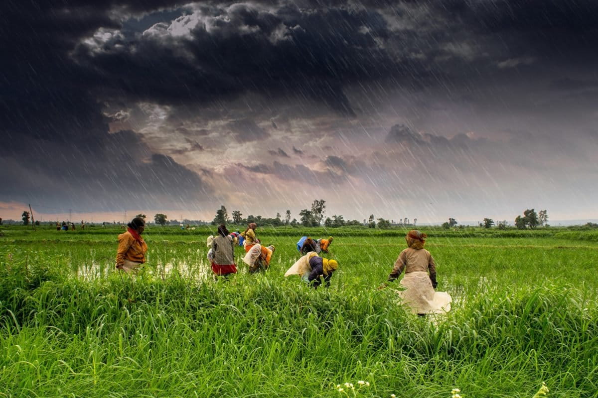 Monsoon Photography