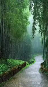 Monsoon Photography