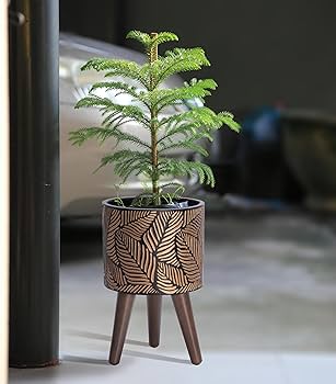 Geometric Metal Plant Stand Set