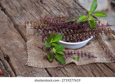 Thai Holy Basil (Tulsi)